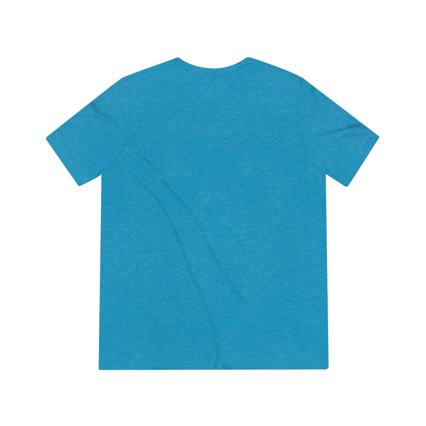 Unisex Triblend Tee Larry Van (front logo)