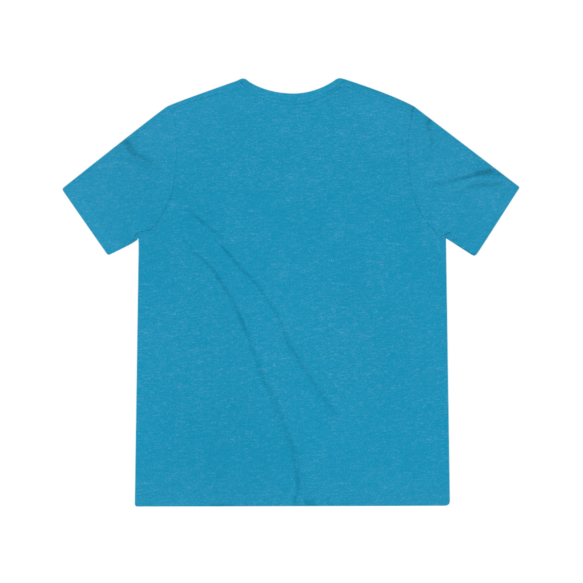 Unisex Triblend Tee Larry Van (front logo)