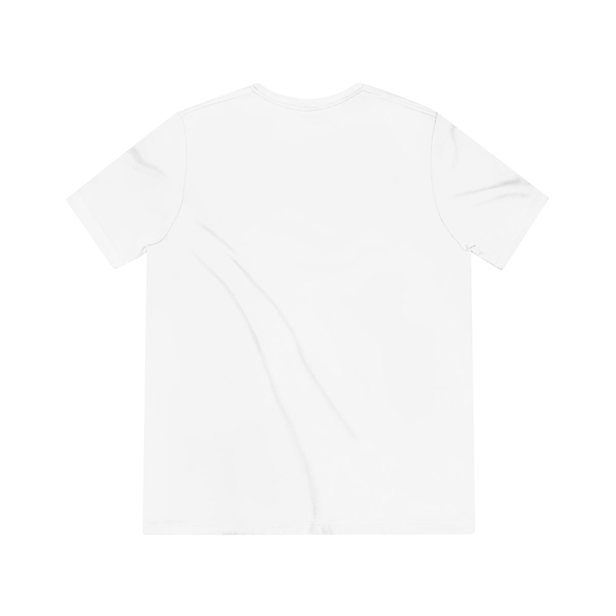 Unisex Triblend Tee Larry Van (front logo)